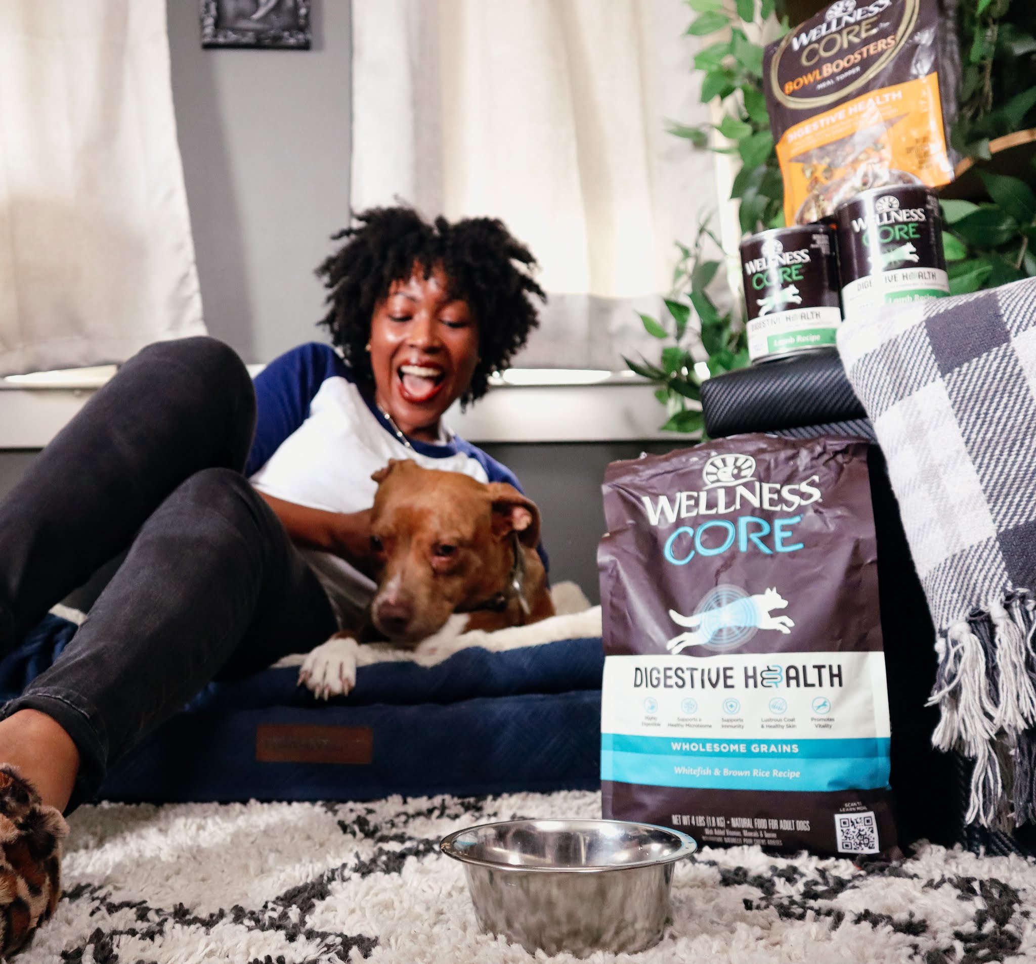 Best Dog Food For Digestive Health Being