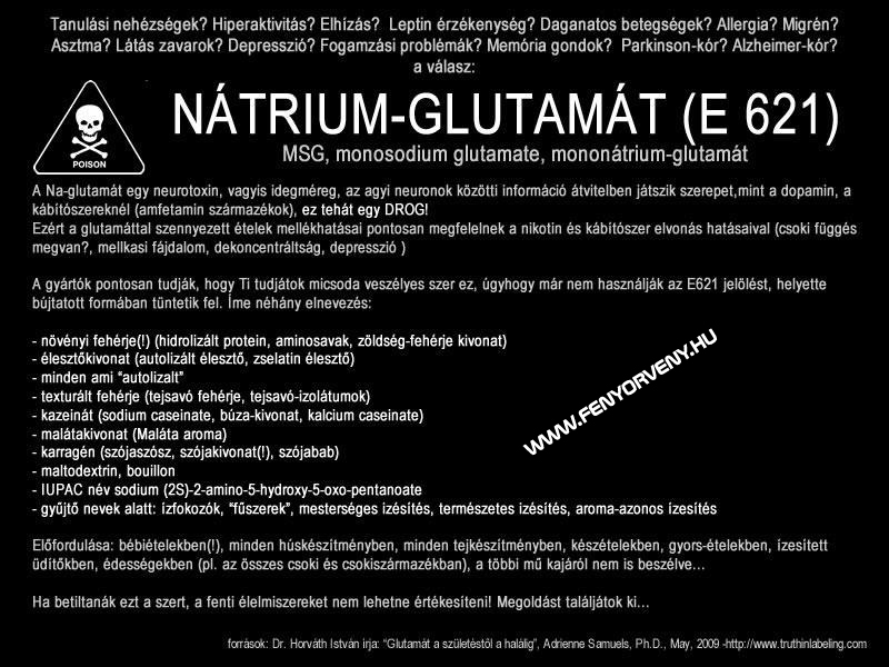 Nátrium-Glutamát (E 621) veszélyei