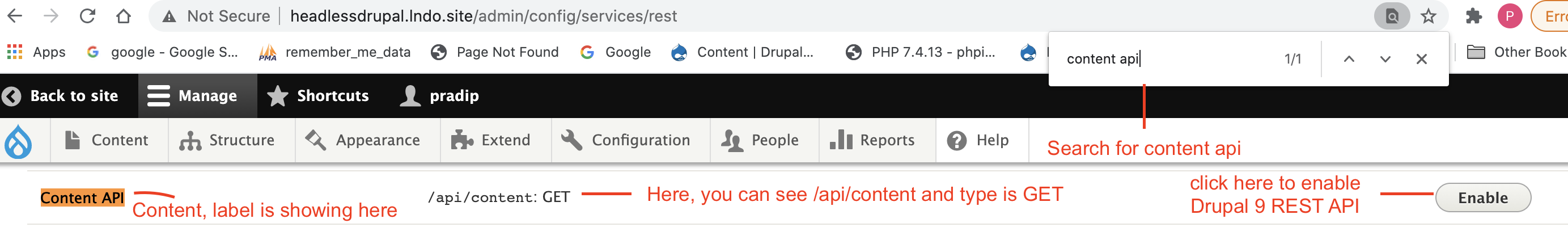 Search and Enable Drupal Rest Resource