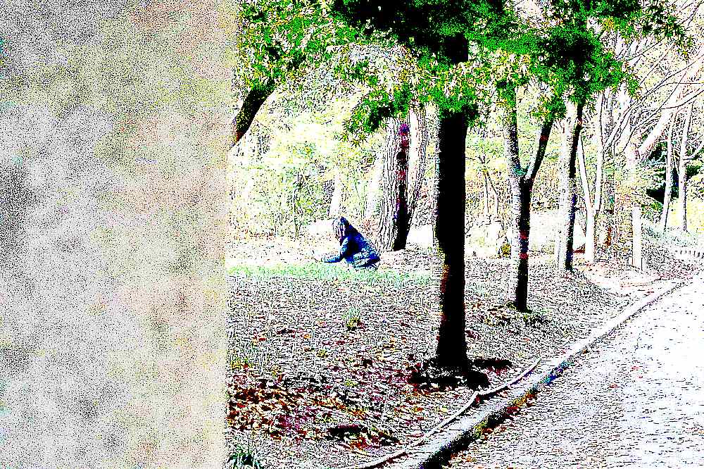 예산 덕숭산 수덕사 예산 덕숭산 수덕사