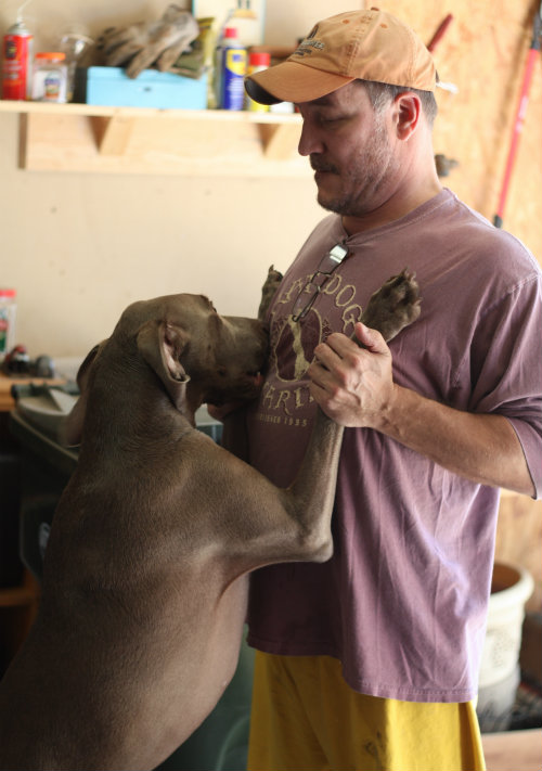 Basil & Daycare 17 Apart