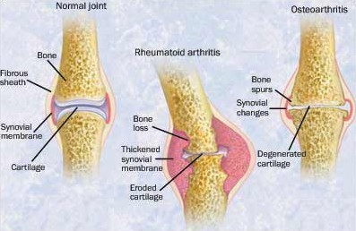 Von Der Weidenmuhle 01 09 09 01 10 09