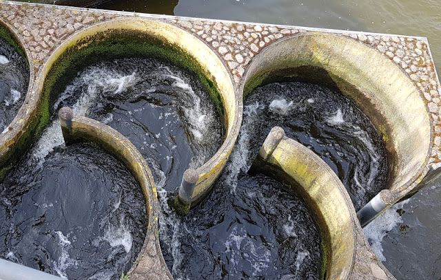 Küsten-Spaziergänge rund um Kiel, Teil 4: Entlang am Ufer der Schwentine. Die Fischtreppe bei der alten Schwentinebrücke hilft den Fischen beim Übergang zur Kieler Förde.