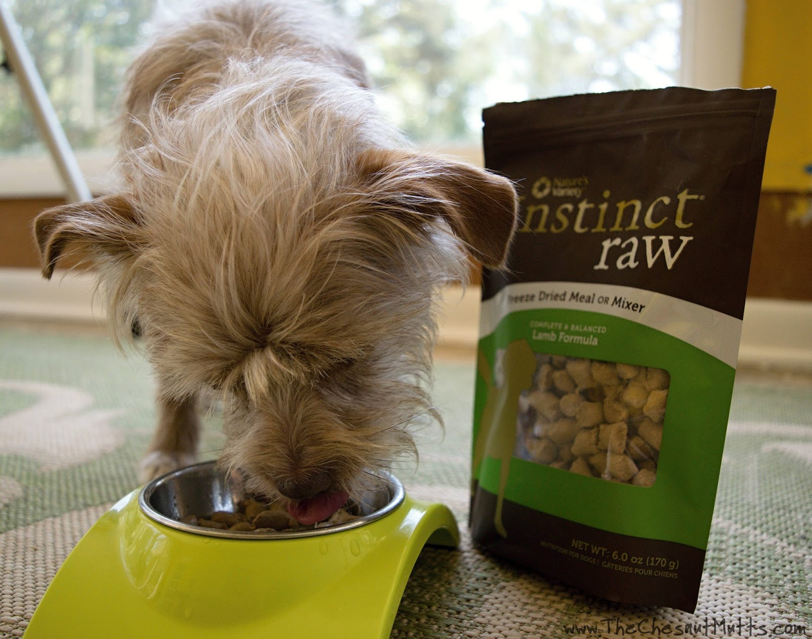 Mini Review Nature's Variety Instinct Raw Boost Mixers The Chesnut Mutts