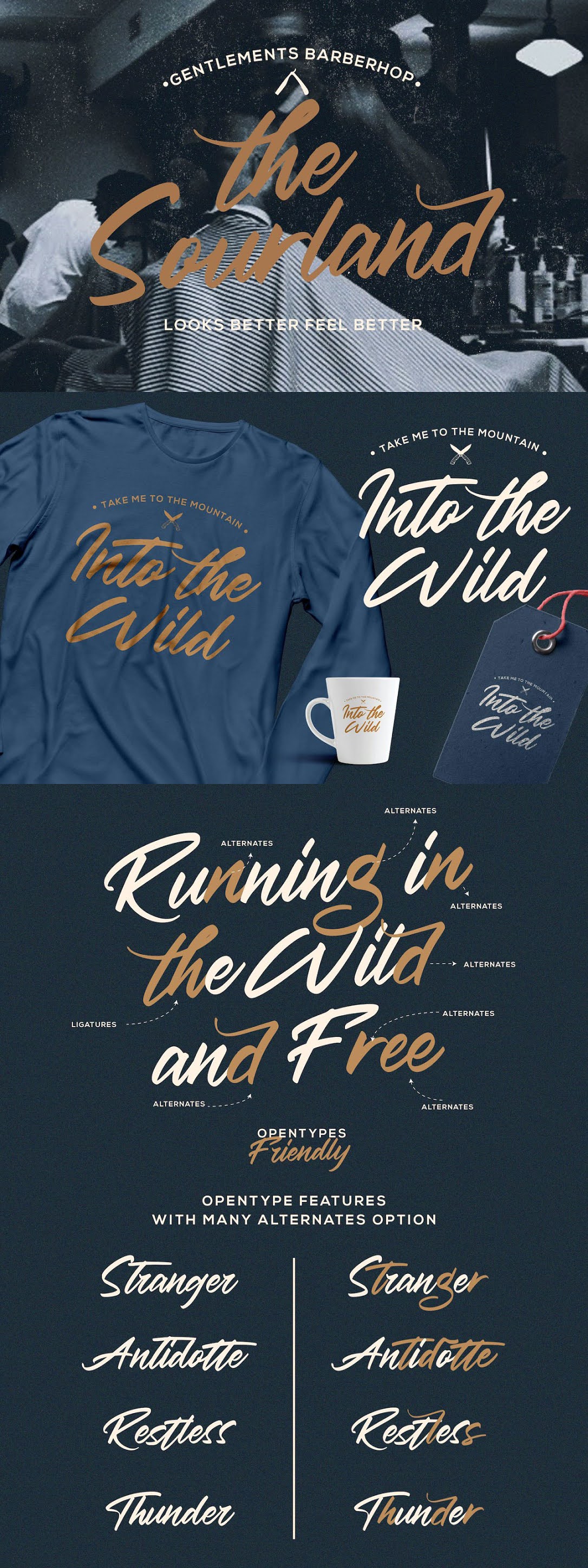 Haredang Bold Script Font 2 Haredang Bold Script Font