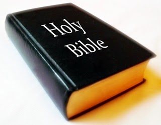 Living In The Lion S Den January 2015