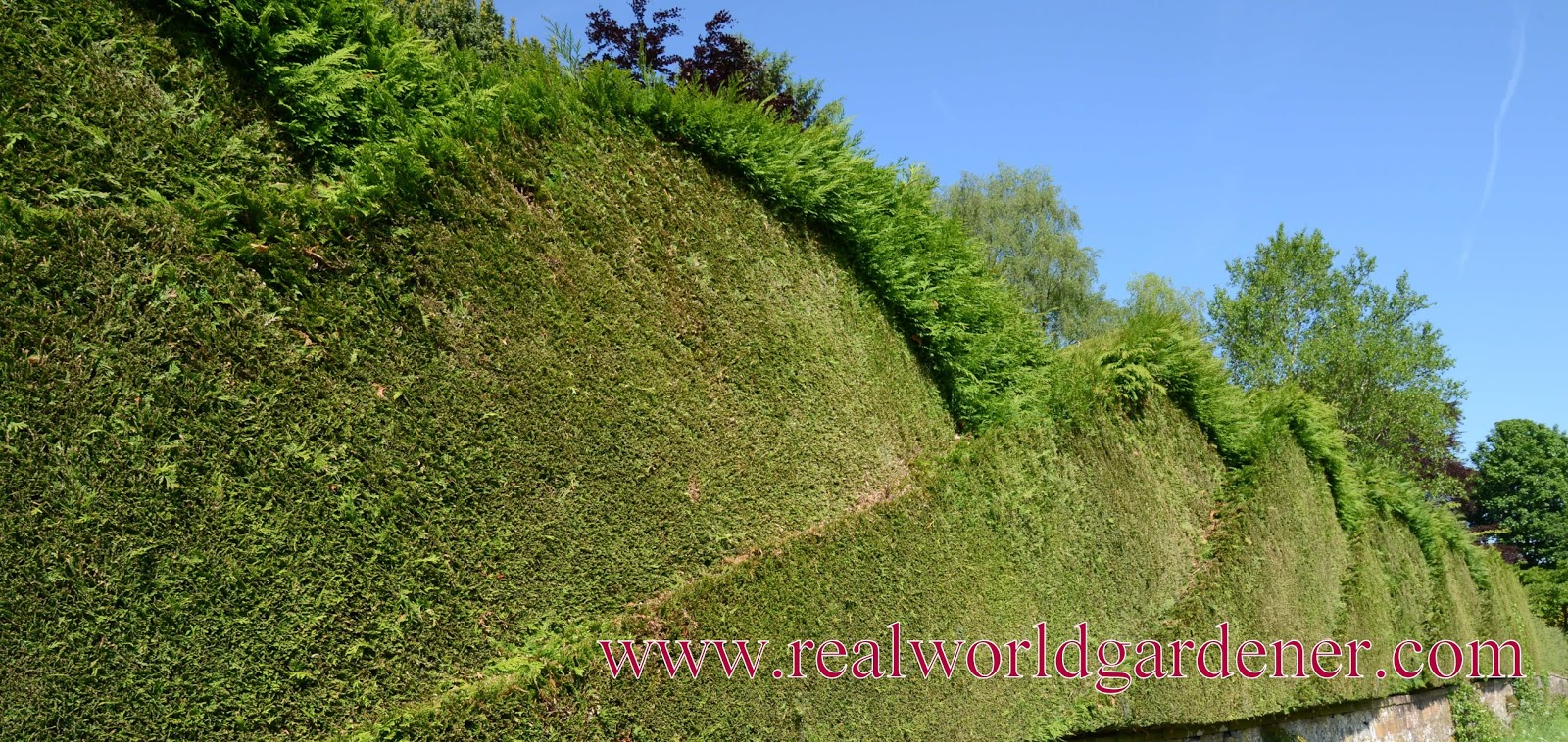 Photodiary July 2017