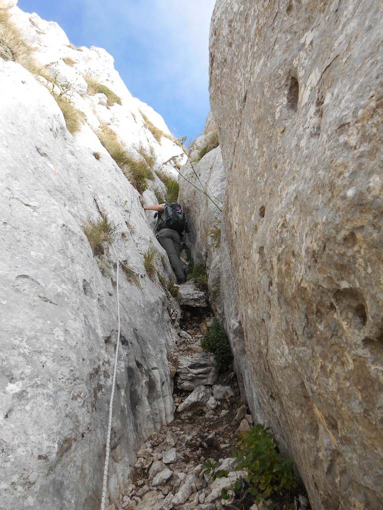 DSCN1390.jpg