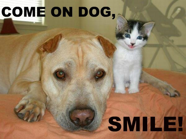 Come On Dog - Smile!