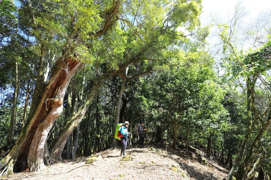從拉夫朗西北峰攀登拉夫朗山沿線的風景