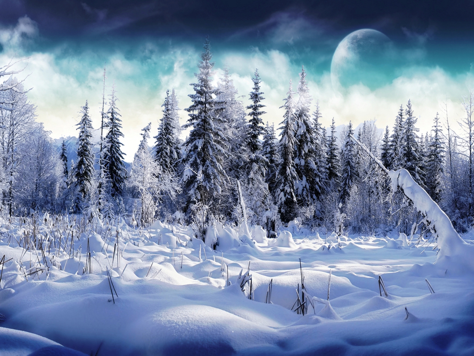 Mooie Sneeuw Achtergronden | Barbaras Bureaublad Achtergronden in HD