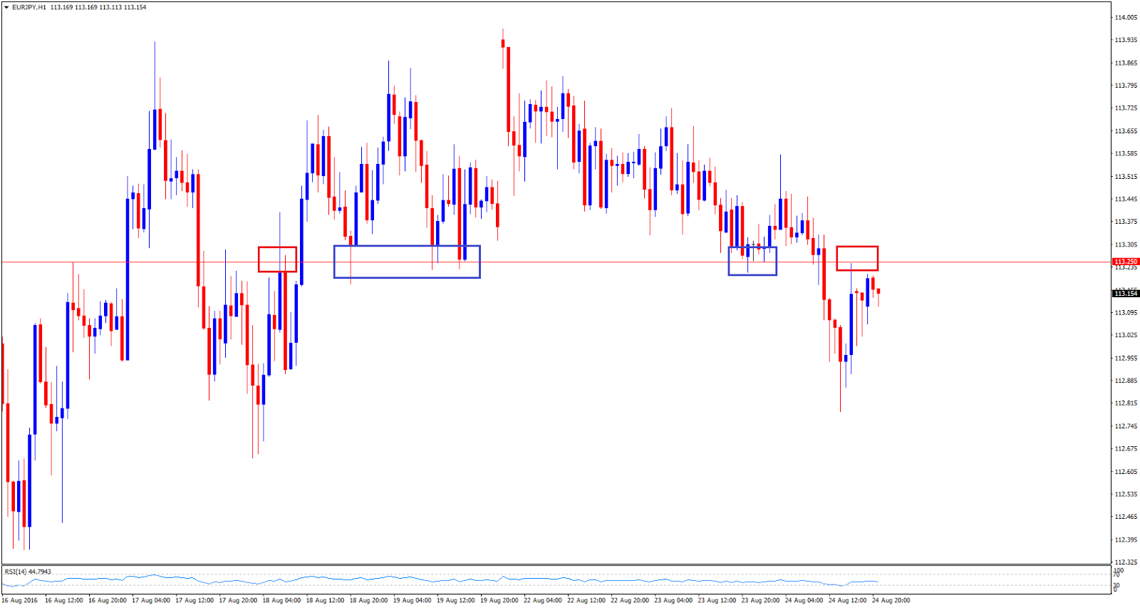 Go forex 24