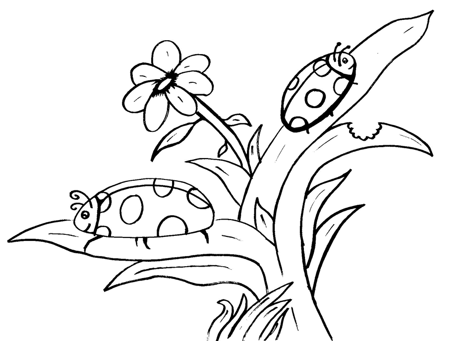 garden bugs coloring pages - photo #17