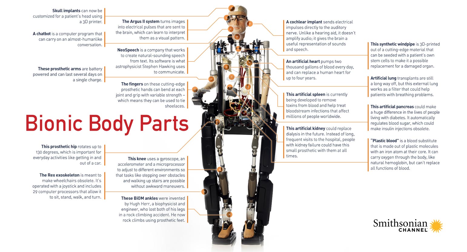 Brain Gym: most bionic body part in an artificial human