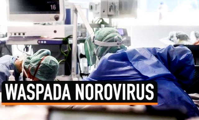 Waspada Norovirus, Kasusnya Sudah Mulai Bermunculan di Indonesia