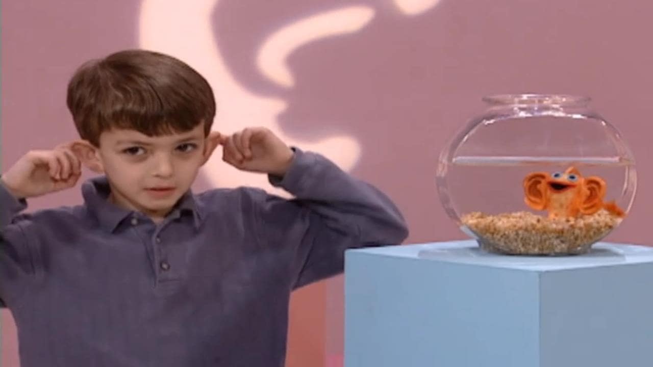 Watch Elmo's World Ears