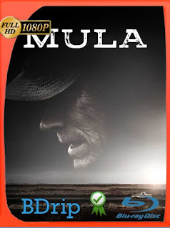 La Mula (2018) ​BDRIP 1080p Latino [GoogleDrive] SXGO