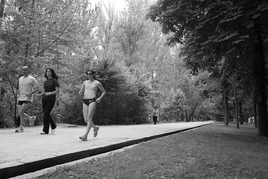 Paseo junto a las orillas del Eresma. Segovia. Castilla y León. España. © Javier Prieto Gallego; 