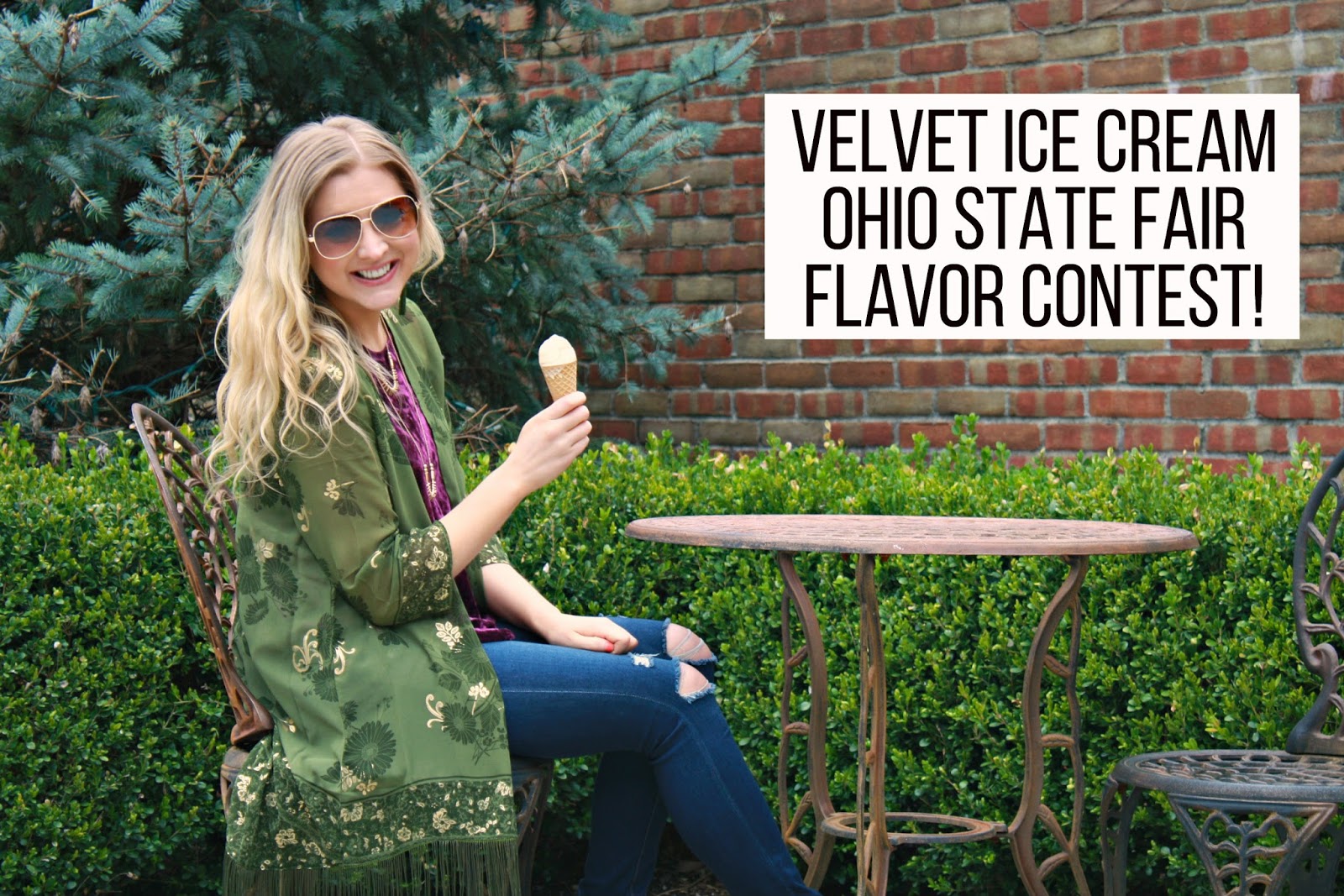 Lifestyle Velvet Ice Cream Ohio State Fair Flavor Contest