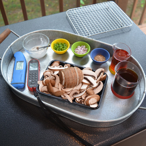 Mise en place incluido Thermapen Mk4