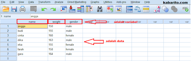 Input Data Statistik Di SPSS Data Editor - kabarito.com menginput data di data view spss