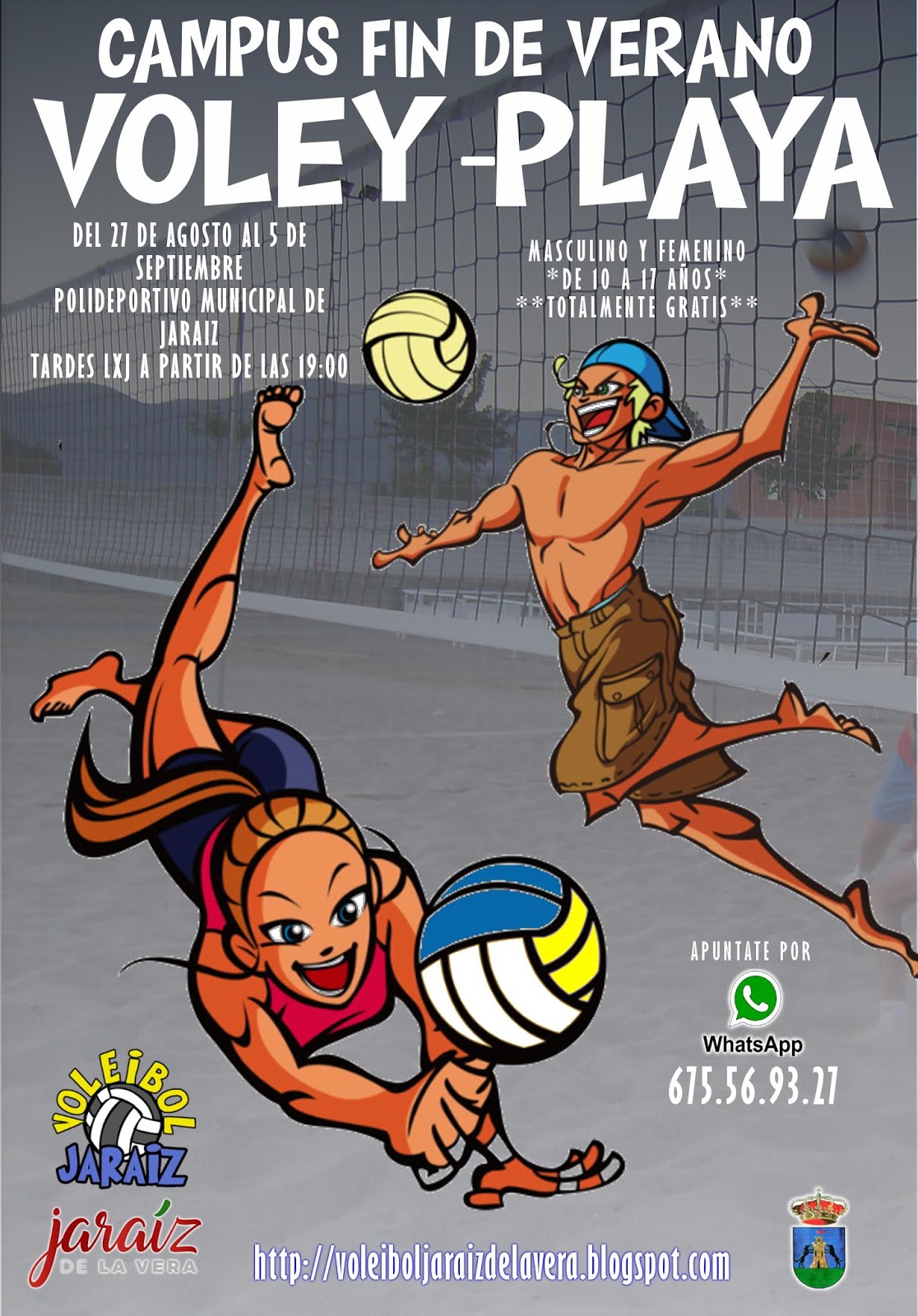 voleibol