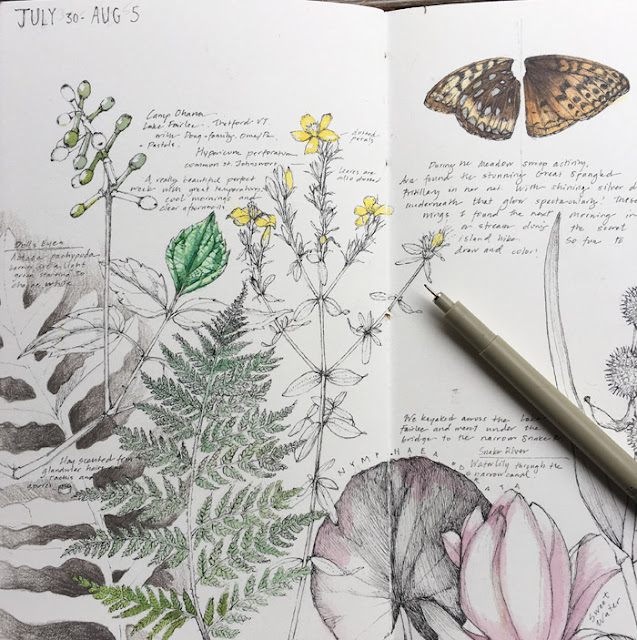 Lara Gastinger, sketchbooks, nature sketchbook, nature journal, sketchbook journal, nature sketchbook journal, Sketchbook Conversations