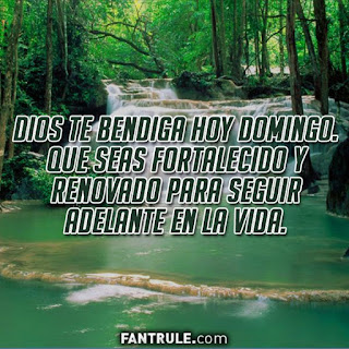 imagenes feliz domingo frases gif