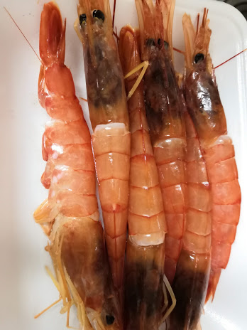 Sashimi of shrimp