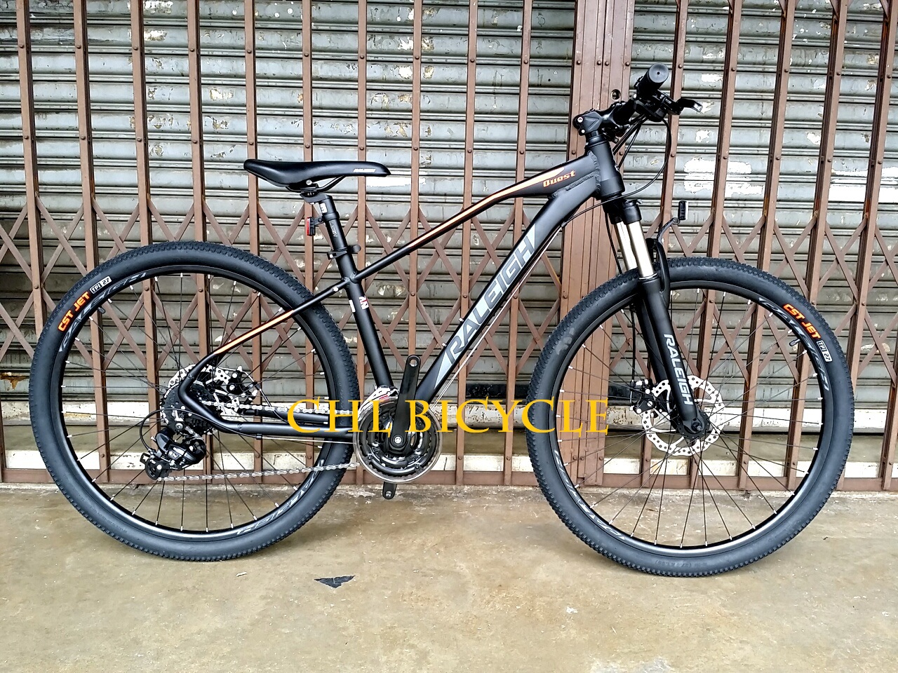 fat bike raleigh