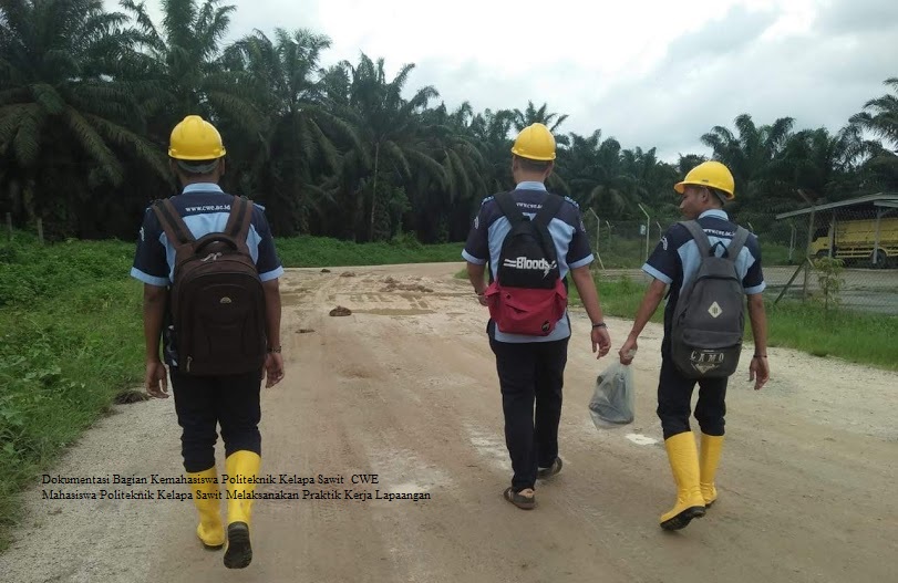 Lowongan Kerja PT. Unifoods Indonesia Jababeka Cikarang