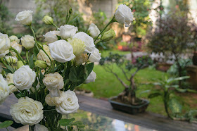 Un bouquet de roses dans le jardin du Liangzhu Lifestyle Hotel