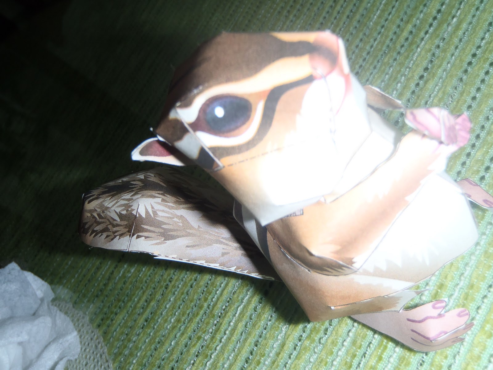 Rongo och Ulani: Manualidades de ardillas