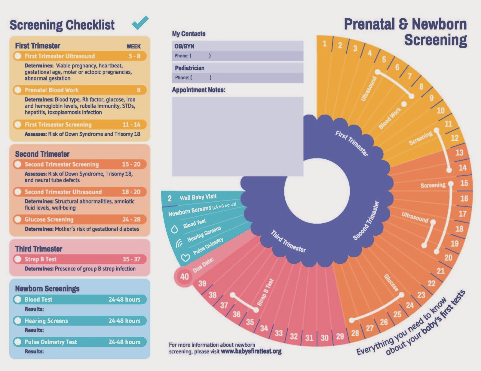 Prenatal and Newborn Screening Timeline