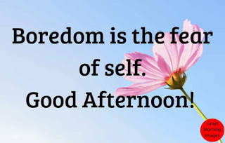 good afternoon greetings quotes good afternoon greetings quotes