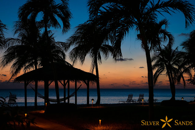 Silver Sands Condos, 7-Mile Beach, Grand Cayman, Cayman Islands Vacation Rentals, Turtle Friendly Lighting, Turtle nesting, Cayman Staycation