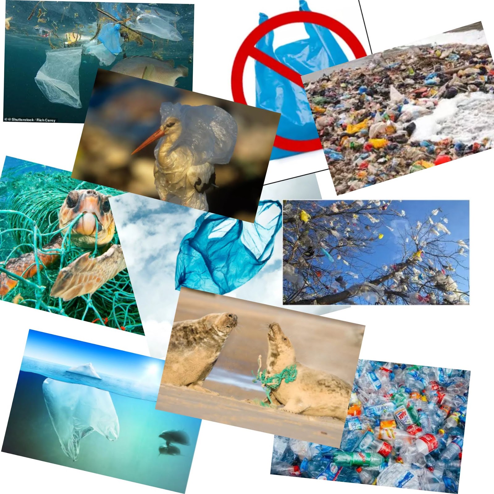 How to solve plastic pollution?
