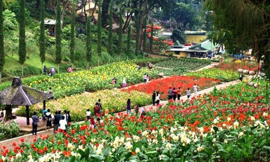 Taman Bunga Di Indonesia