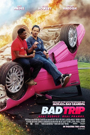 Bad Trip (2020) 300MB Full Hindi Dual Audio Movie Download 480p Web-DL