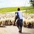 Εκπαιδευτικά σεμινάρια από την Περιφέρεια Ηπείρου για κτηνοτρόφους ...