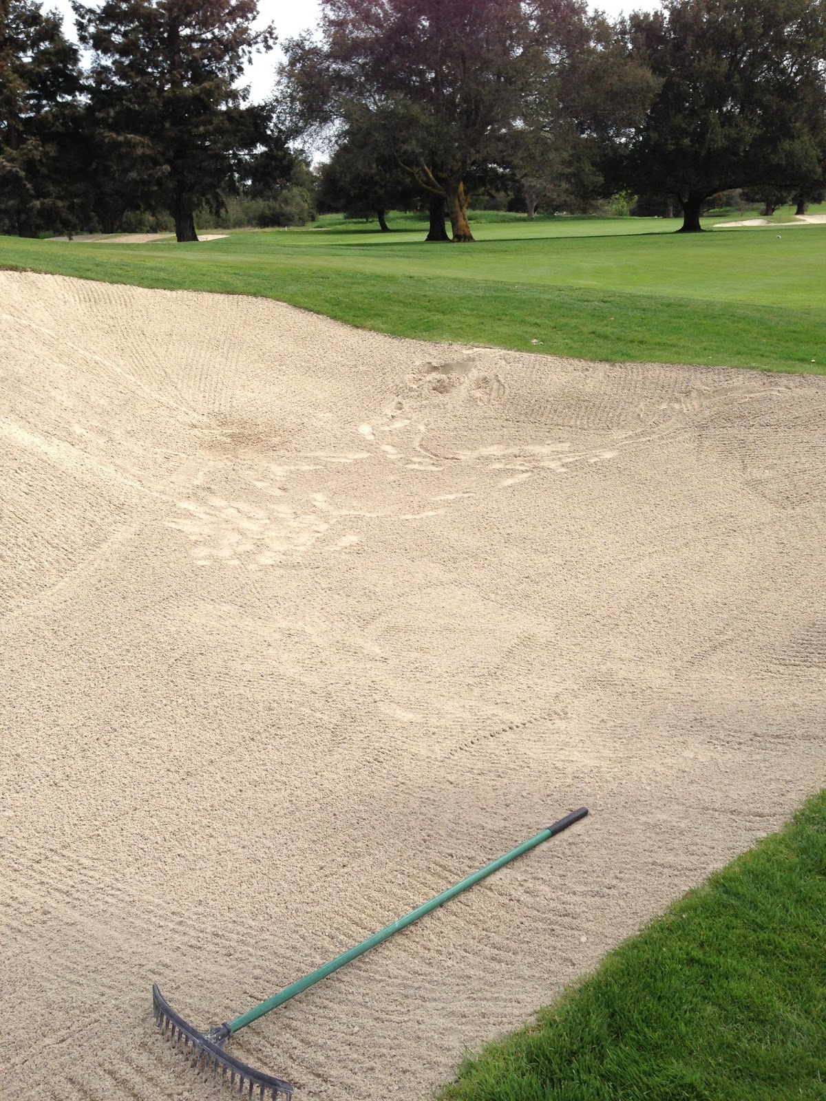 Stanford Golf Course Superintendent s Blog How Somebody Left A Bunker