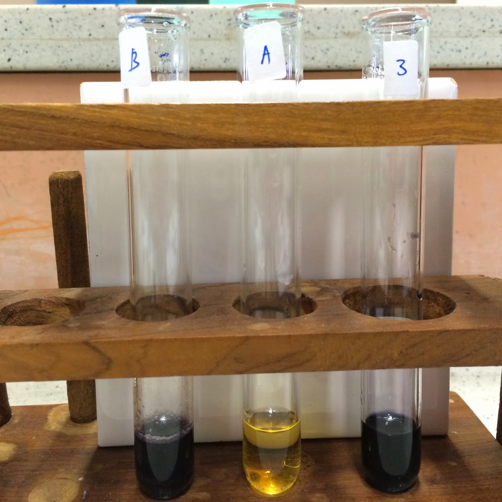Biology Journal Biomolecules Practical 1 Food test