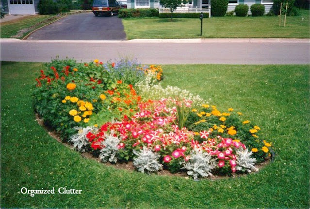 Photo of a flower border with short annuals
