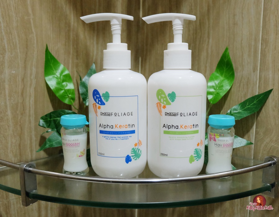 David S Salon Foliage Hair Care Dear Kitty Kittie Kath Top