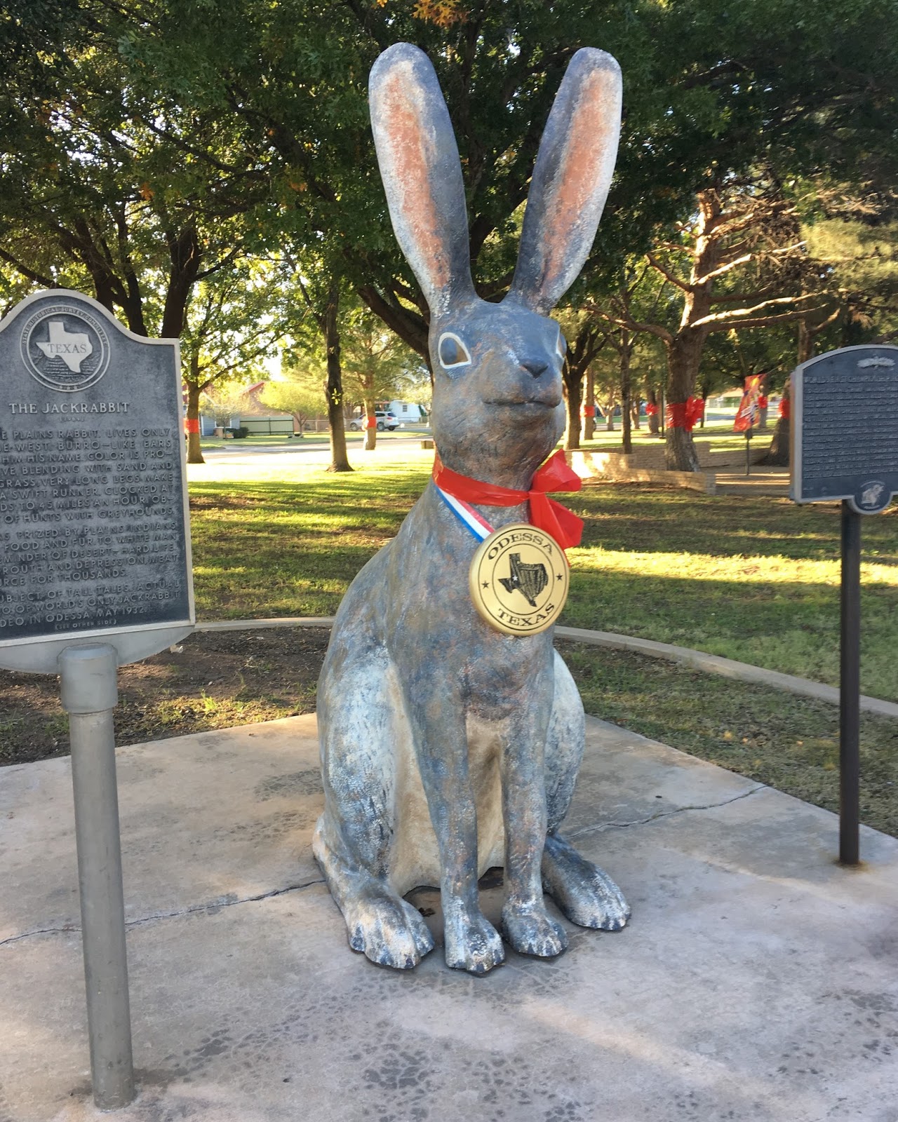 The Wandering Wahoo Deep in the Heart of Texas