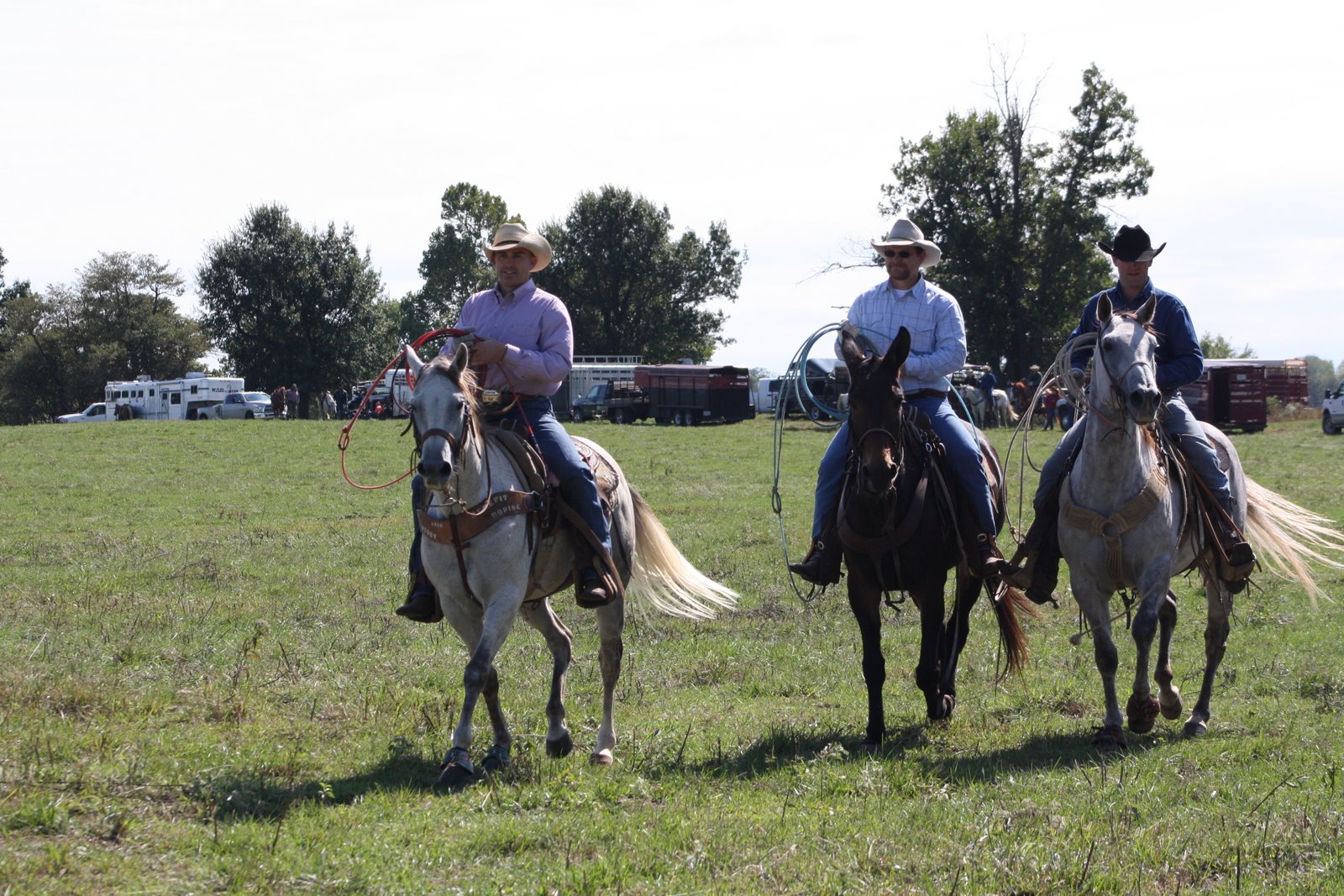 PairADice Mules: Pasture Roping