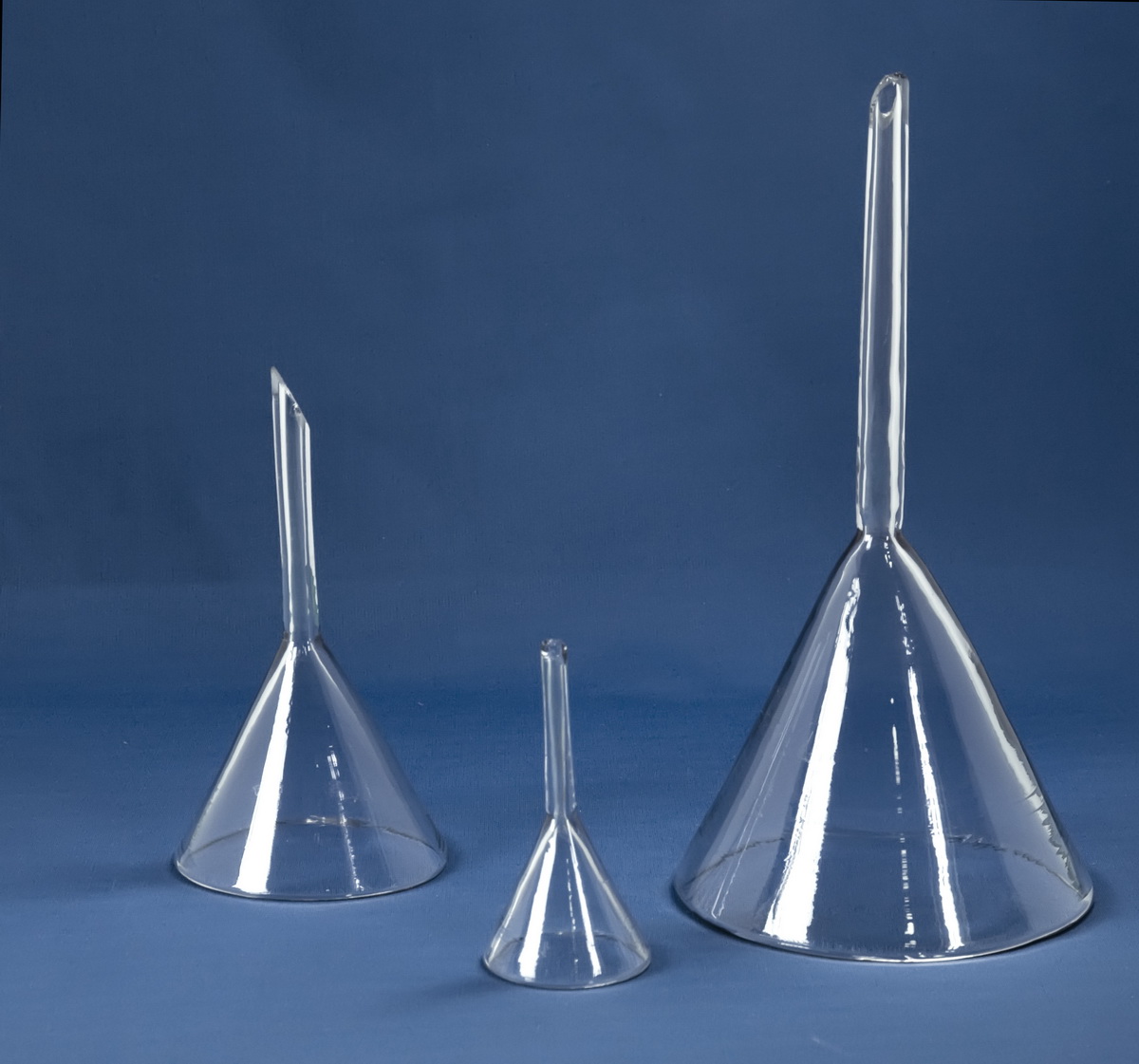 Blog De Biología 2013 abril 2013 Blog De Biología 2013 abril 2013