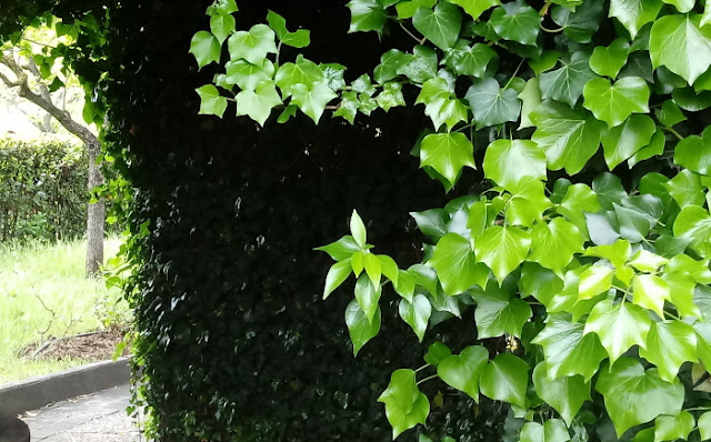 in our garden - CASA SANTO SPIRITO