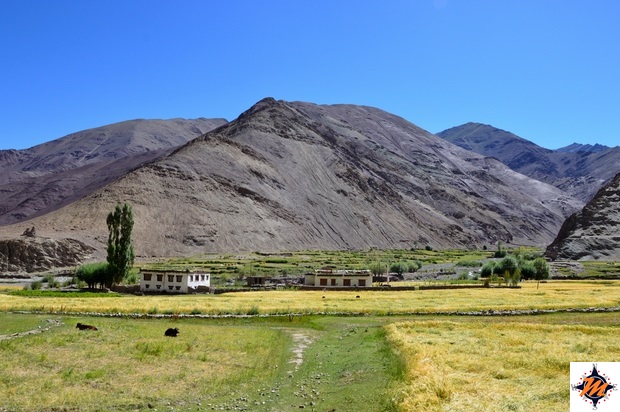 Ladakh, Miru Ladakh, Miru