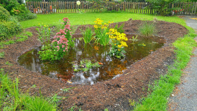 Cara Mudah Membuat Taman Hujan (Rain Garden)